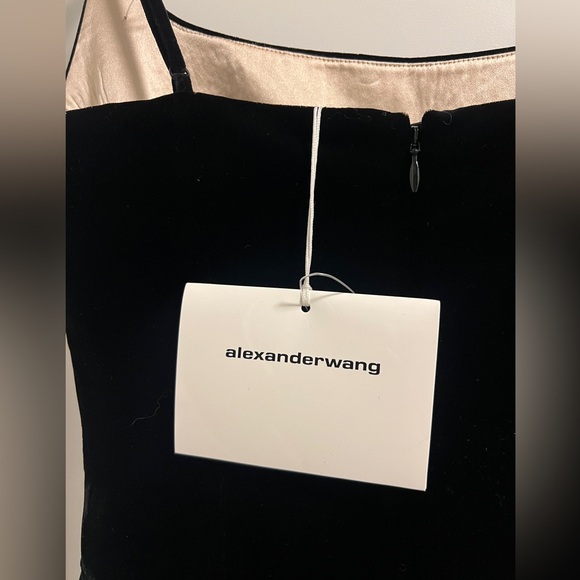 ALEXANDER WANG Velvet Fit and Flare Dress NWT SIZE:0 - Picture 4 of 8